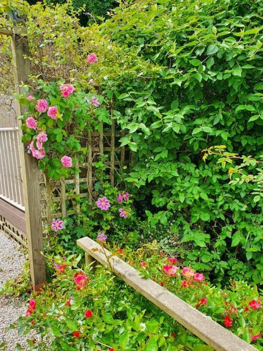 Bijou Coastal Apartment In Polperro With Hot Tub Onsite Parking Downhill Walk To Village Extérieur photo
